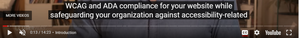 Image of synchronized caption in an Youtube video